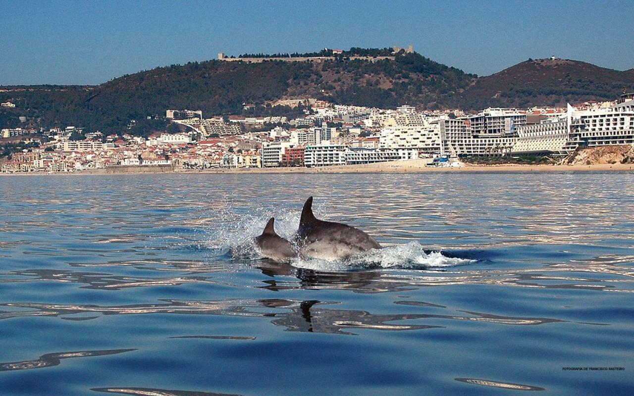 Felp Sesimbra Beach 1006 Eksteriør billede